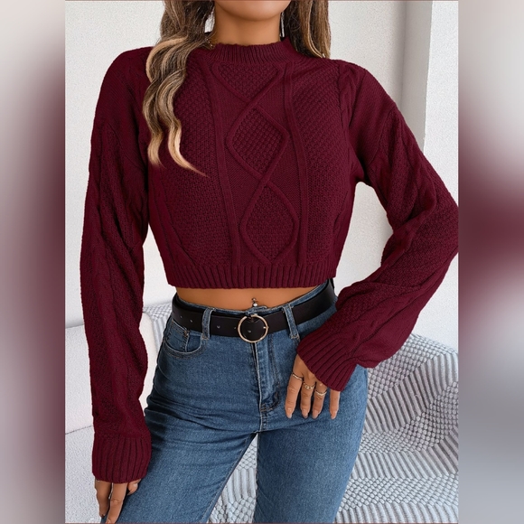 Waffle Cable Knit Crop Top Round Neck Long Sleeve Minimalist Sweater Shirt Red - Picture 1 of 9